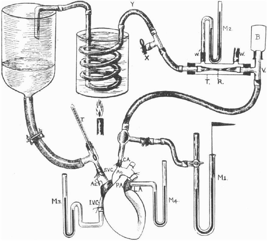 Mean systemic filling pressure 1.3 HISTORICAL BACKGROUND The concept of a zero-flow circulatory filling pressure was formulated by Weber in 1851 (101).