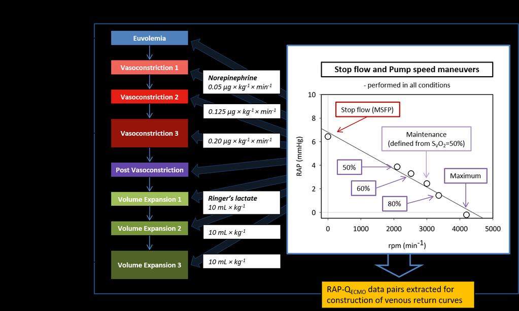 Figure 25 Experimental protocol