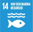 Växjö kommun ska ha en god beredskap för fler bostäder, växande näringsliv, offentlig service, infrastruktur och rekreation i hela kommunen.