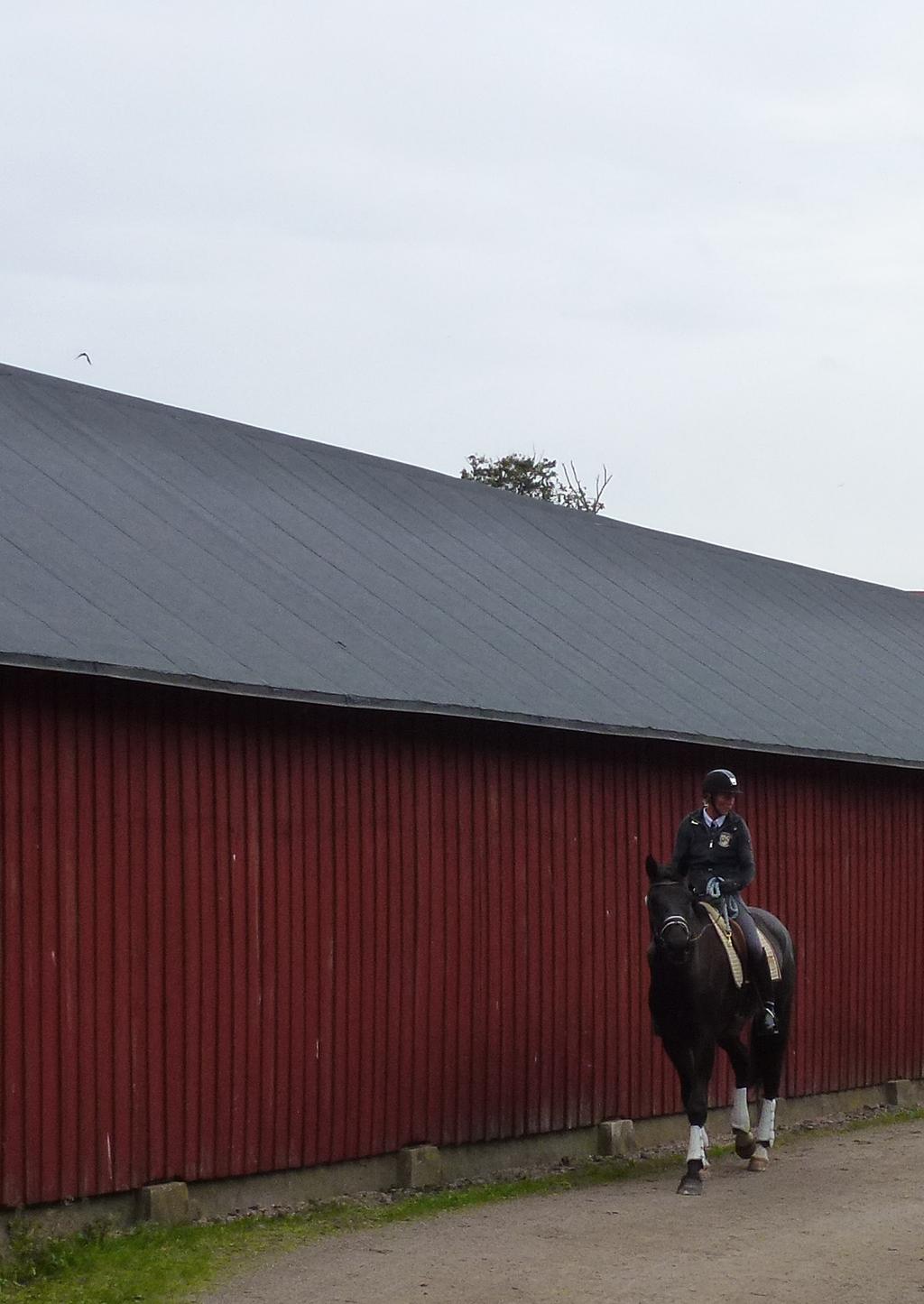 Flyinge Kungsgård täckta rastbanan Flyinge 22:40 Södra Sandby socken, Lunds kommun, Skåne Antikvarisk