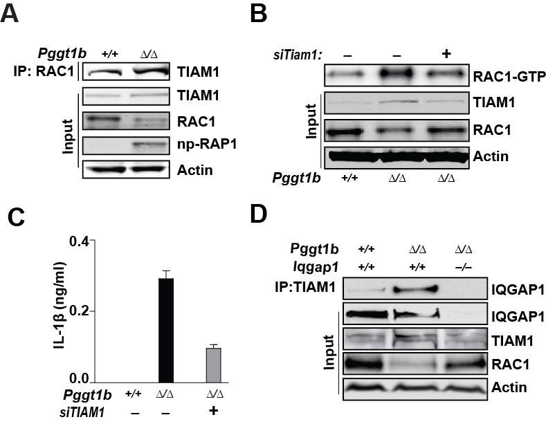 Fig. 14.