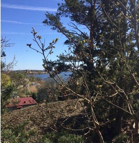 Foto från planområdet med utsikt över havet Byggnadskultur och gestaltning Placeringen av nya bostäder i Bustorp utgår från att den nya bebyggelsen följer landskapets form.