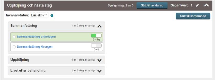 KOMMENTARER I STEG Inuti vissa steg exempelvis Sammanfattning och Min cancerrehabiliteringsplan kan