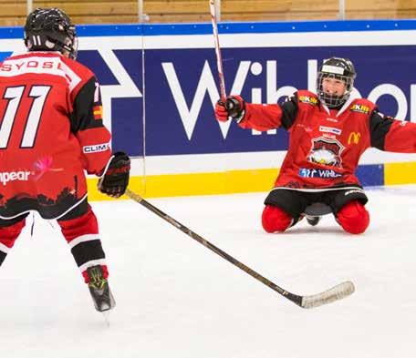 ELITJUNIORER - PÅ GRÄNSEN TILL SHL Redhawks elitjuniorer har under de senaste säsongerna skördat stora framgångar. Från grundseriesegrar med J-20 till vinst i TV-pucken 2017.