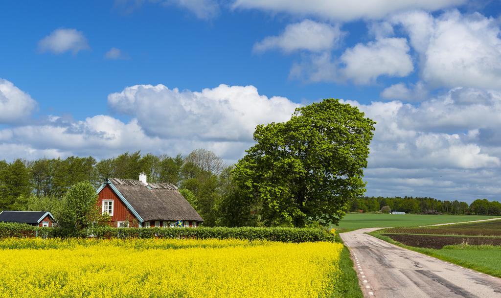 Fotograf: Patrik Leonardsson GRÄVNING PÅ EGEN TOMT OCH MARK När ni väljer att ansluta er fastighet till Halmstads stadsnät behöver ni själva gräva från er fastighet till anslutningspunkten.