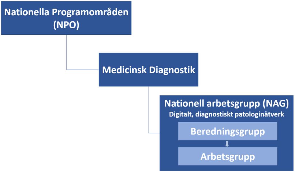SKL KVAST Bredare perspektiv än patologi möjlighet att duplicera till andra diagnostiska områden Etablerad organisation Har liknande, koordinerande roll inom andra områden Har juridisk kompetens Djup