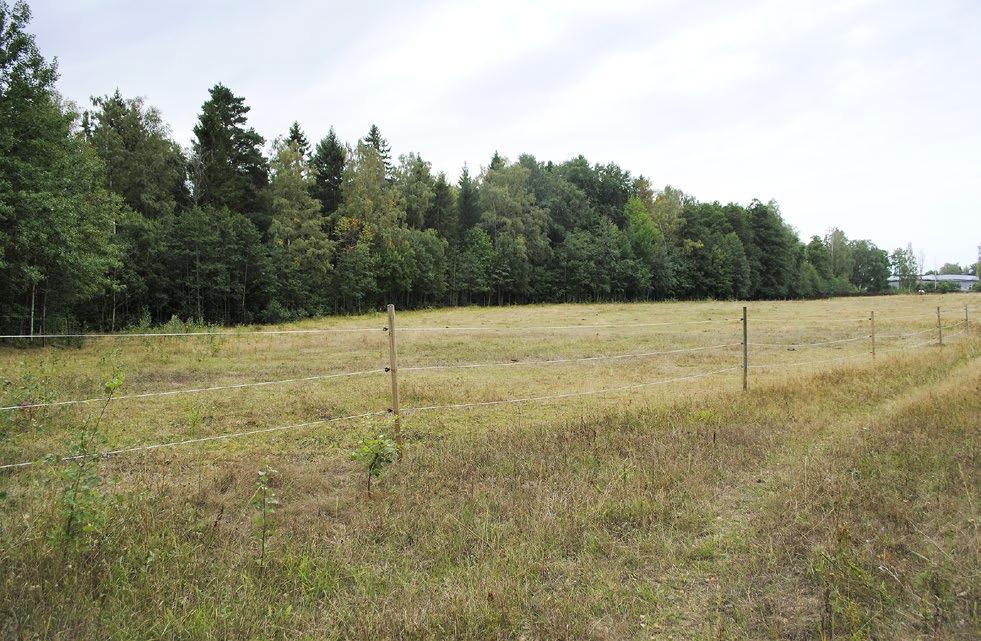 Norra Bråstorp planerad bostadsbebyggelse 15