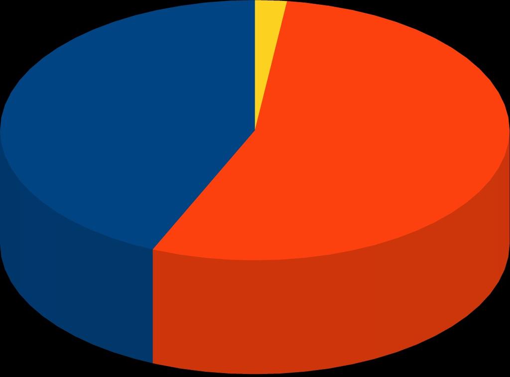 3: Tårtdiagram över deltagarnas huvudsakliga intressen.