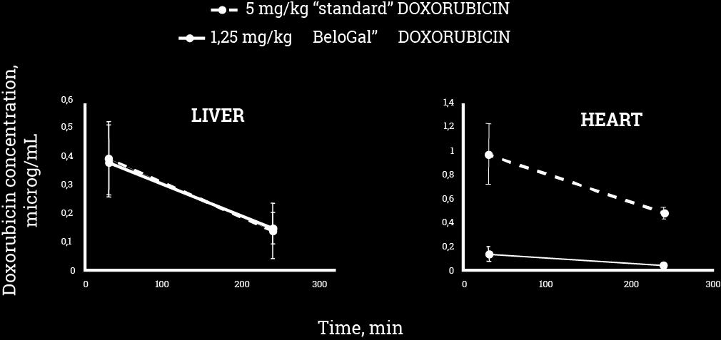 doxorubicin i hjärtat jämfört med vanligt doxorubicin BeloGal -doxorubicin är mindre systemtoxiskt (helkropsgiftigt) än vanligt doxorubicin Den stora minskningen av doxorubicin i hjärta är särskilt