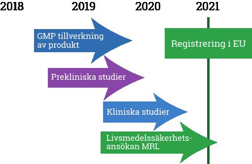 Timeline för utveckling av InterferOX för den globala marknaden visas i diagrammet nedan.