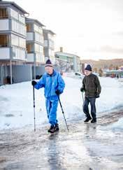 Års- och