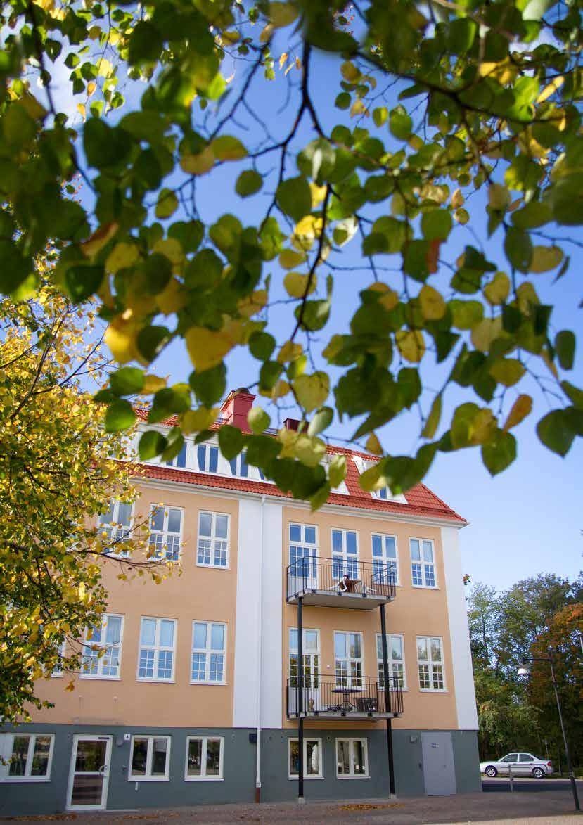 Att skapa boendemiljöer för äldre med gemensamma mötesplatser och närhet till