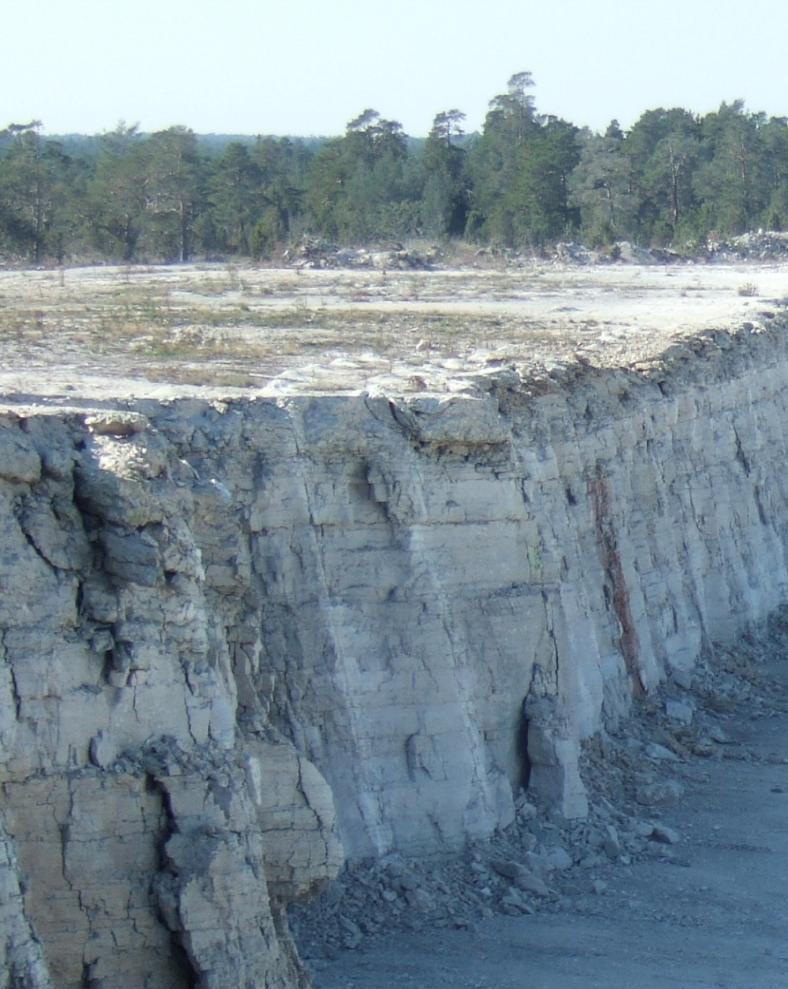 risk för skada på Natura 2000-områdena ska medföra att tillståndet förenas med villkor om skyddsåtgärder för att inte sådan skada uppstår som avses i 7:28b