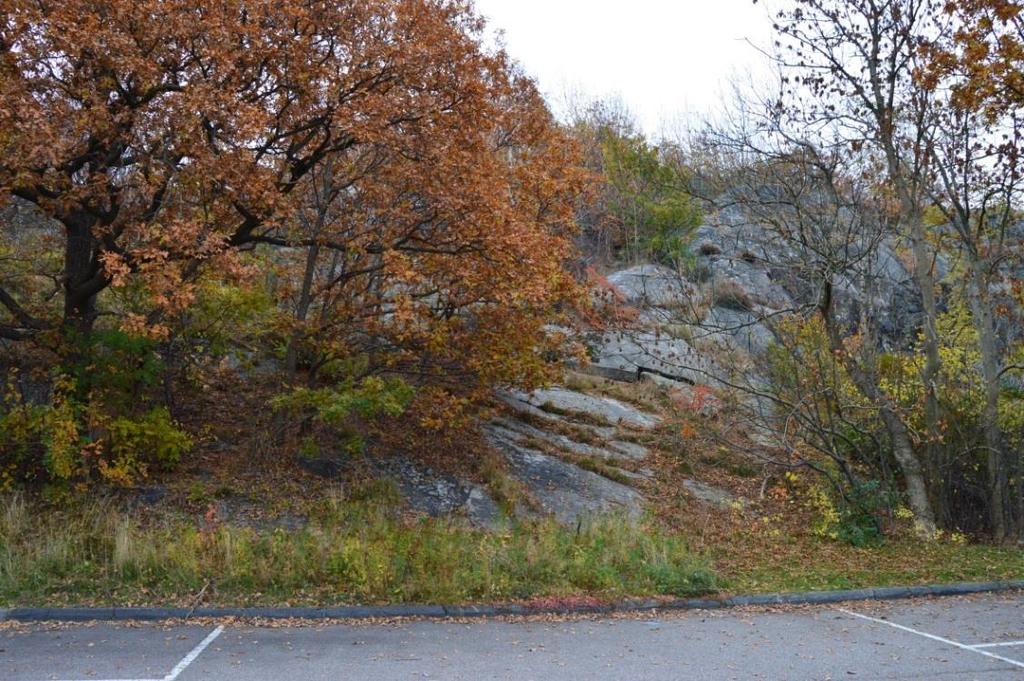 skyddsobjekt på grund av dess närhet till tunnelpåslaget och medföljande risk för fysisk påverkan. Figur 5.7 Område för planerat påslag vid Bratteråsberget.