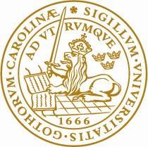Perversa konsekvenser en studie om socialarbetares inställning till