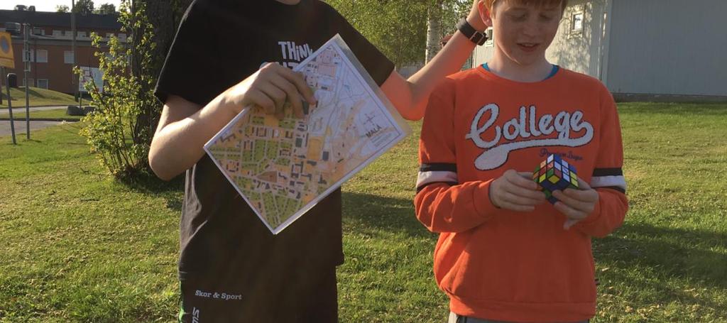 Landstingets satsning Visionsmedel för folkhälsan med inriktning på integration.