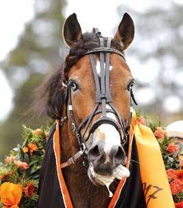A.S.A.TICK TACK 9 8, M 6, AK 7,8 AM 8 00 6,br. v. e Order By Fax - 8: 0-0-0 9, 00 7: 7 0-- 6,a 6 000 Tot: 9 0-- 9 A.S.A.Caneidia e Comets Tail Asplund F G / - / 60 8, c c 66 Uppf: Stall Asagården HB,