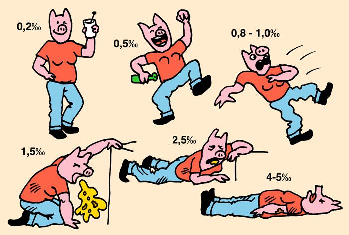 Vad fyller alkohol för funktion?