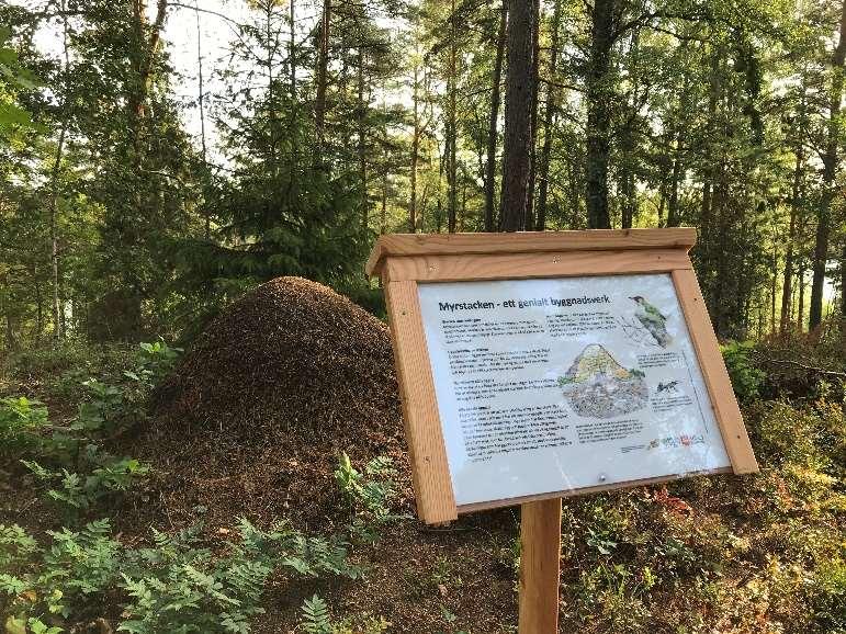 Information på Granåsen Syfte: utveckla