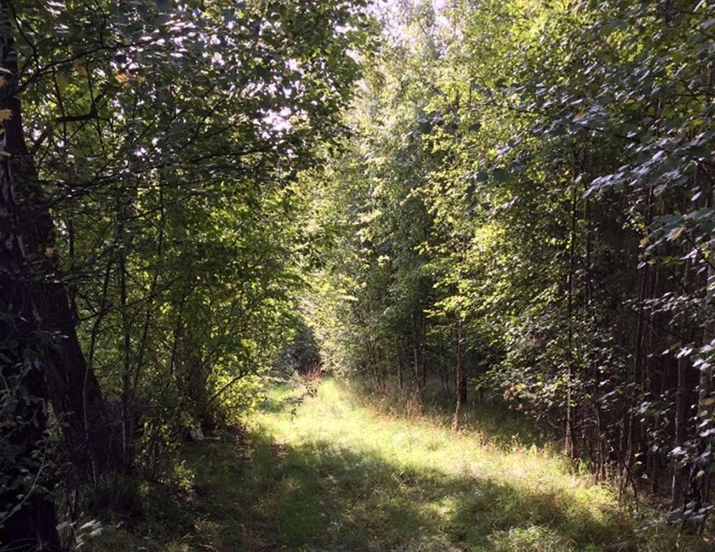 natur- 
