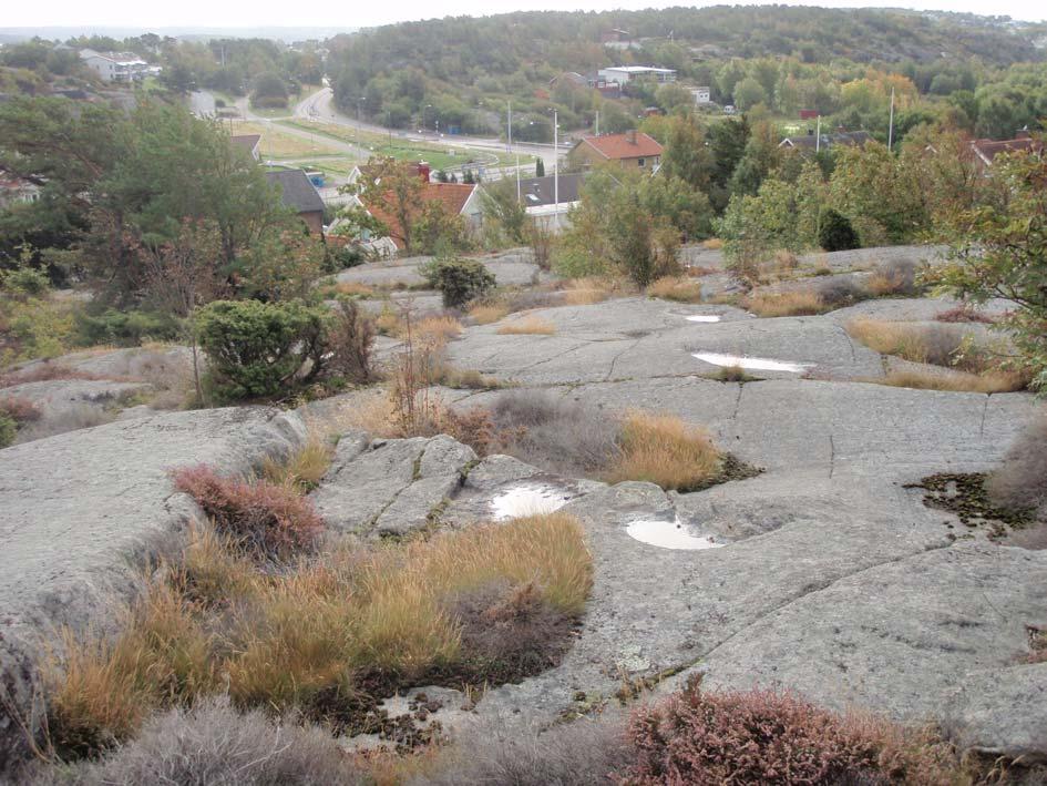 (12) Foto 8. Taget från fotopunkt 8, mot syd (se Bilaga 2 för planläge). Terrängen sluttar ned mot befintlig bebyggelse.