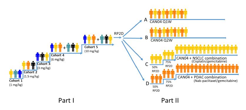 Upplägg i CANFOUR-studien Källa: Cantargia. RP2D: Rekommenderad fas II-dos. Q1W: Veckovis dosering. Q2W. Dosering varannan vecka. NSCLC: Icke-småcellig lungcancer.