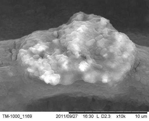 Nano Bioteknologi Material för hållbar