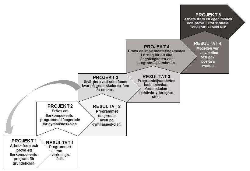 Figur 1. Program utifrån projekt och utvärderingar. ringsmodellen fungerat väl och stärkte genomförandet av programmet (Boij 2014).