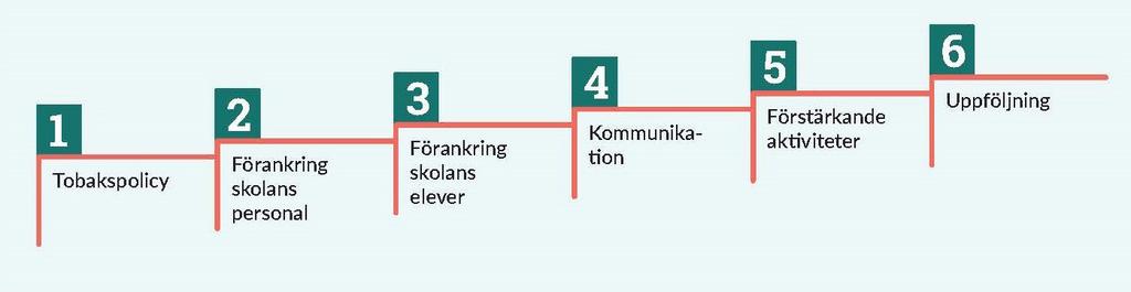 Figur 3. Processmodellen för Tobaksfri skoltid NU. Steg 6 sker både en uppföljning av det genomförda arbetet och en förstärkning av det fortsatta arbetet.