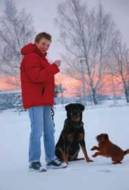 När reportern pratat med Lars Hultström kom plötsligt kameramannen på att vi kanske ska fråga veterinären också, kommenterar hon.