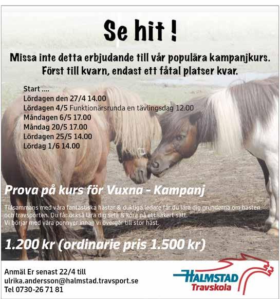 V- VINNARE PLATS HALMSTAD // 8 Euro Classic Trot Next Year - Treåringslopp 0 M AUTOSTART -åriga.00-0.000 kr. Körsvenskrav kat.. 0 m. Autostart. Pris: 0.000-.000-.00-.00-8.000-.00-.00-.00 (8 priser) START.