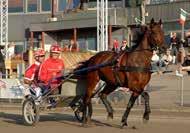 En säsong som inbringade över, miljoner kronor och avslutades med VM-loppet i USA, men den gången blev det galopp.
