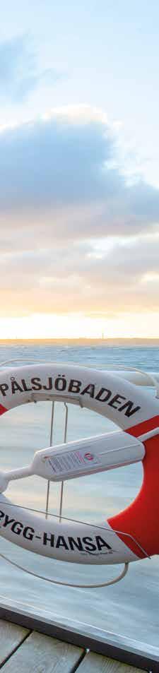Värvningar 2018 30 Ur vår kalender 33 Sagt om oss 37 Ordlista 41 Summering 42 Kontakta oss I Helsingborg är bastu och kallbad en året