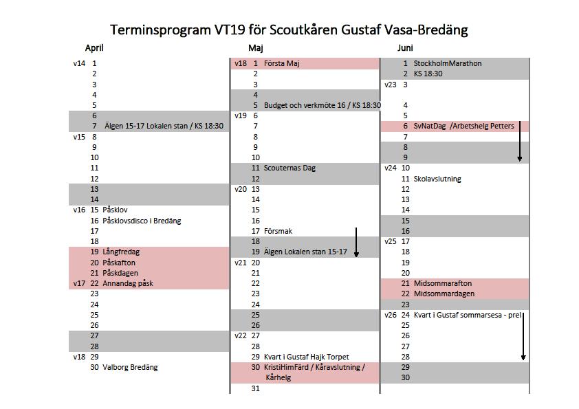 VT19 Protokoll
