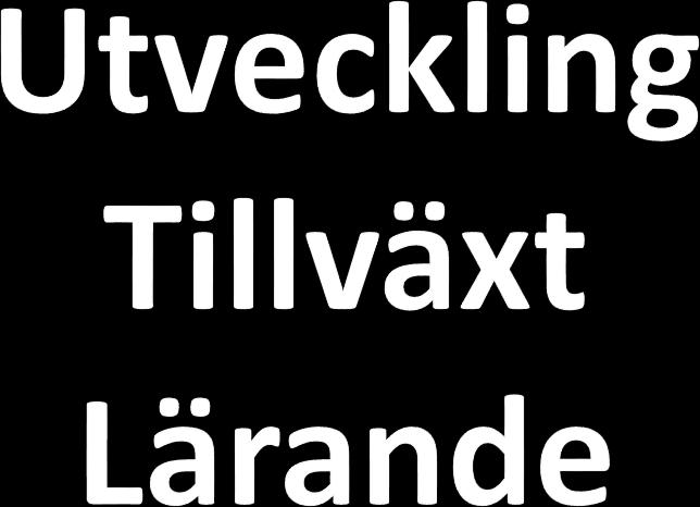 Lärandeprocessen