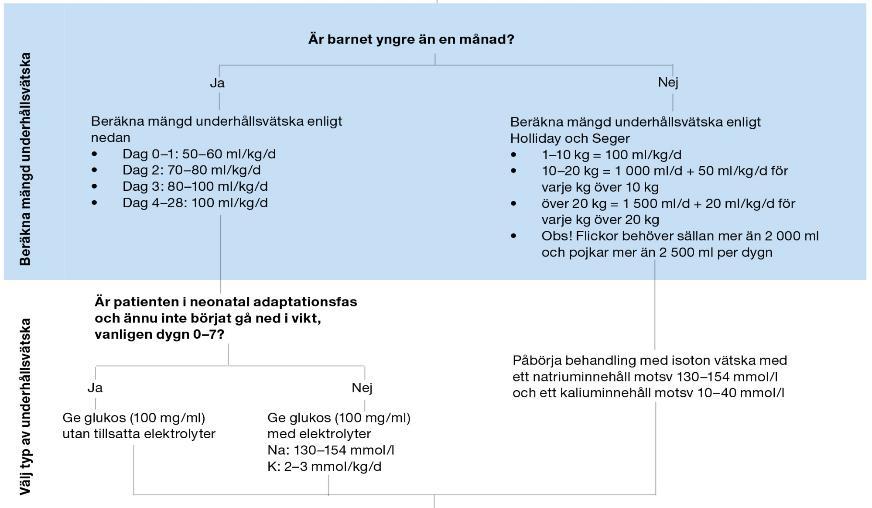 Flödesschema intravenös