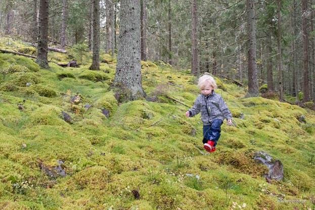 Aktiviteter som utvecklar balanssinnet Gunga Gå på instabila ytor Snurra på olika sätt Åka