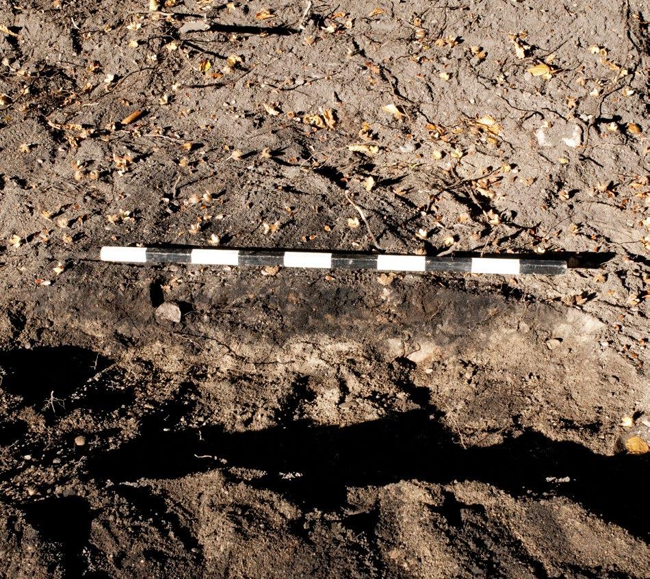 Anläggningar Vid undersökningen framkom två kokgropar (fig. 8), två härdar (fig. 9), en härdgrop (fig. 10) och en stenfylld grop (fig. 11).
