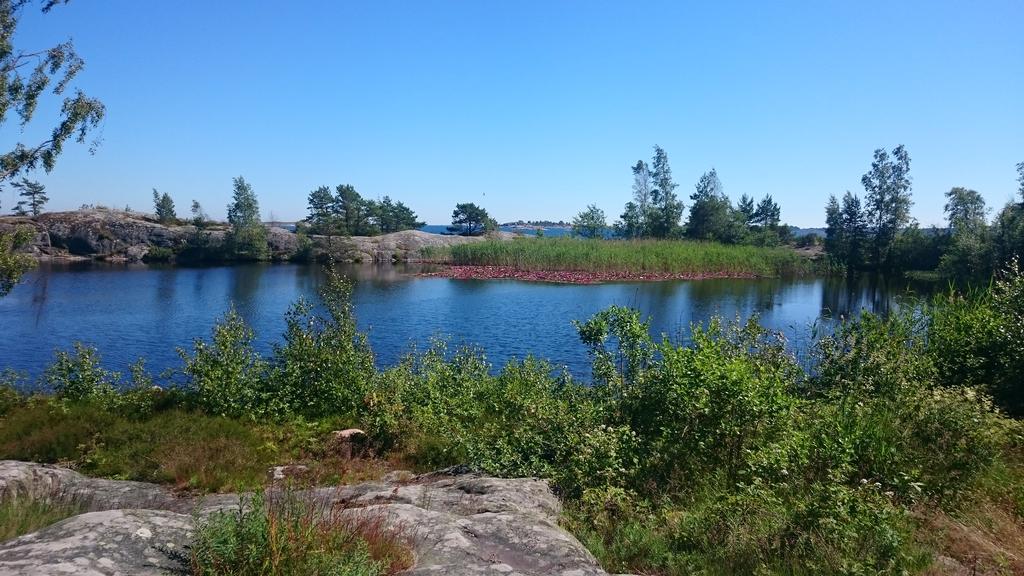 Näckrosdam men