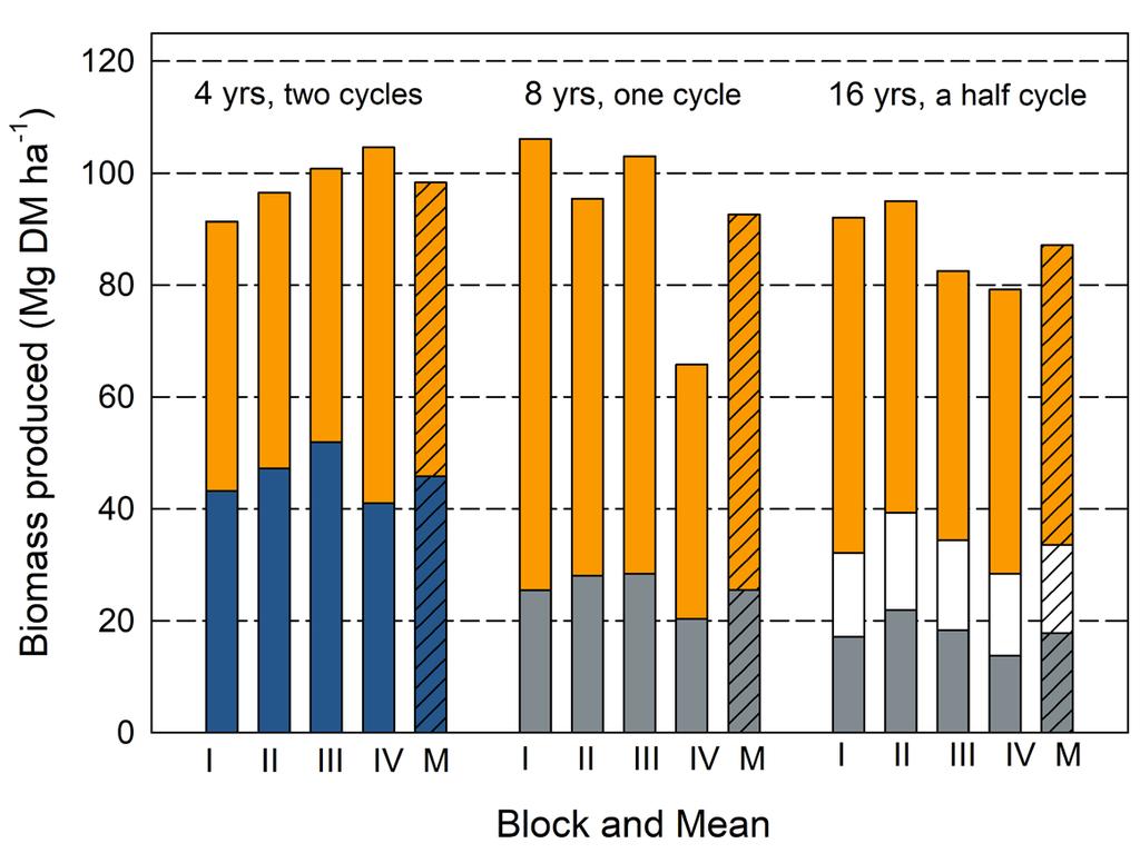 GROWTH PERFORMANCE AT DIFFERENT ROTATION TIMES An important and interesting question is how hybrid aspen cultivation systems should be designed. A fundamental factor is the rotation period.