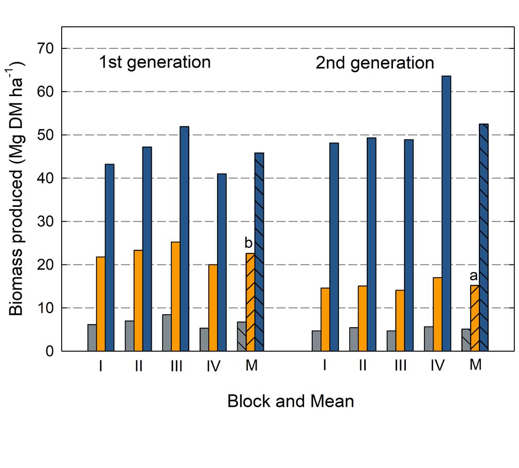 Figure 11. Mean annual increment (MAI) of the three management strategies during 8 years. The lines represent averages of the 4 blocks for respective strategy.