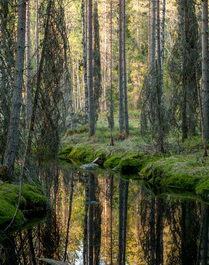 3. MILJÖ VI BESKYDDAR OCH ANVÄNDER MILJÖN PÅ ETT HÅLLBART SÄTT Förvaltning av miljöärenden ingår i vår dagliga verksamhet.
