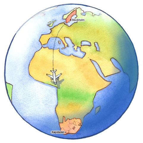 Bild 2. Illustration av temat En resa till Sydafrika. Illustration: Jens Ahlbom. Sammanfattning Sammanhangsdimension Spridningen av uppgifternas kontext har stora likheter.
