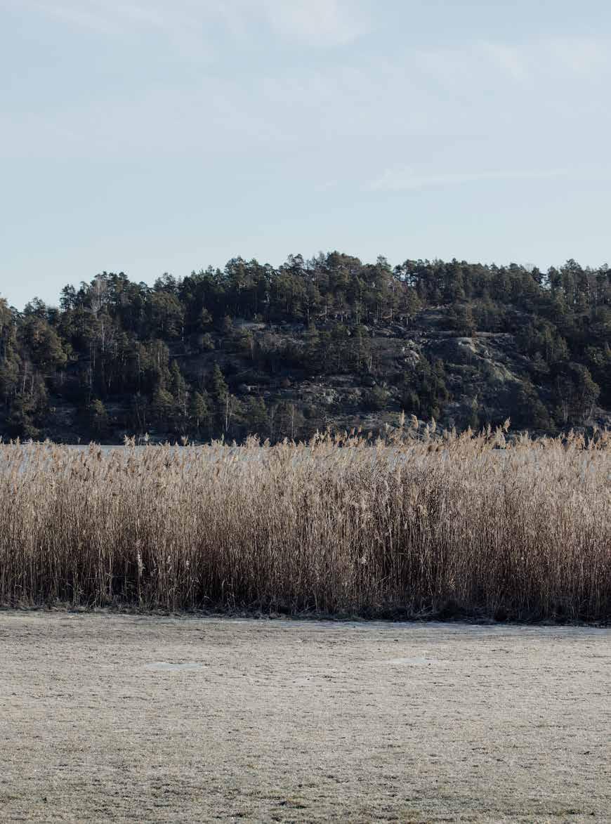 Husliv i ny tappning I ett av Sollentunas mest centrala områden växer det naturnära Häggvik fram där stad möter natur och kultur.