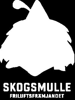 070-345 35 30 Borlänge Skidskola alpin för