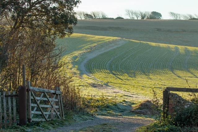 Dag 3 East Meon - Cocking Dagens vandring går genom skogsmarkerna i Queen Elizabeth Country Park. Leden tar dig genom skog som erbjuder skugga och skydd.