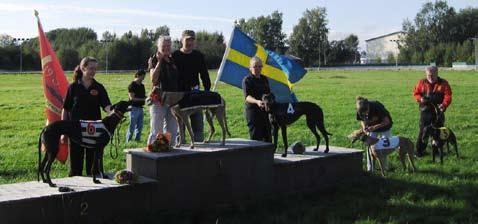 . Dessutom var det semifinaler i ett nytt lopp, Greyhoundbilder.se för de högst klassade, sponsrat av Maria och Peter Blomkvist, SHS.