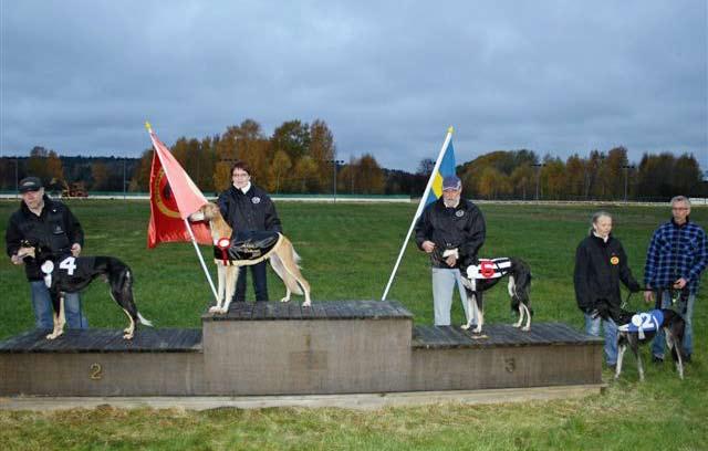 na på sprintloppen. Det var bra klass på de startande hundarna, märkligt att två sjuåringar placerade sig som trea och fyra. Loppet var sponsrat av fam Ronström.