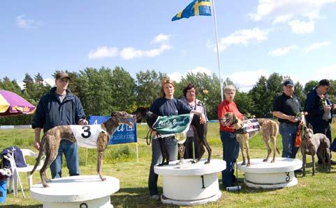 tränas av Månsson & Sädås och tävlar för Göteborgs Hundkapplöpningsklubb.