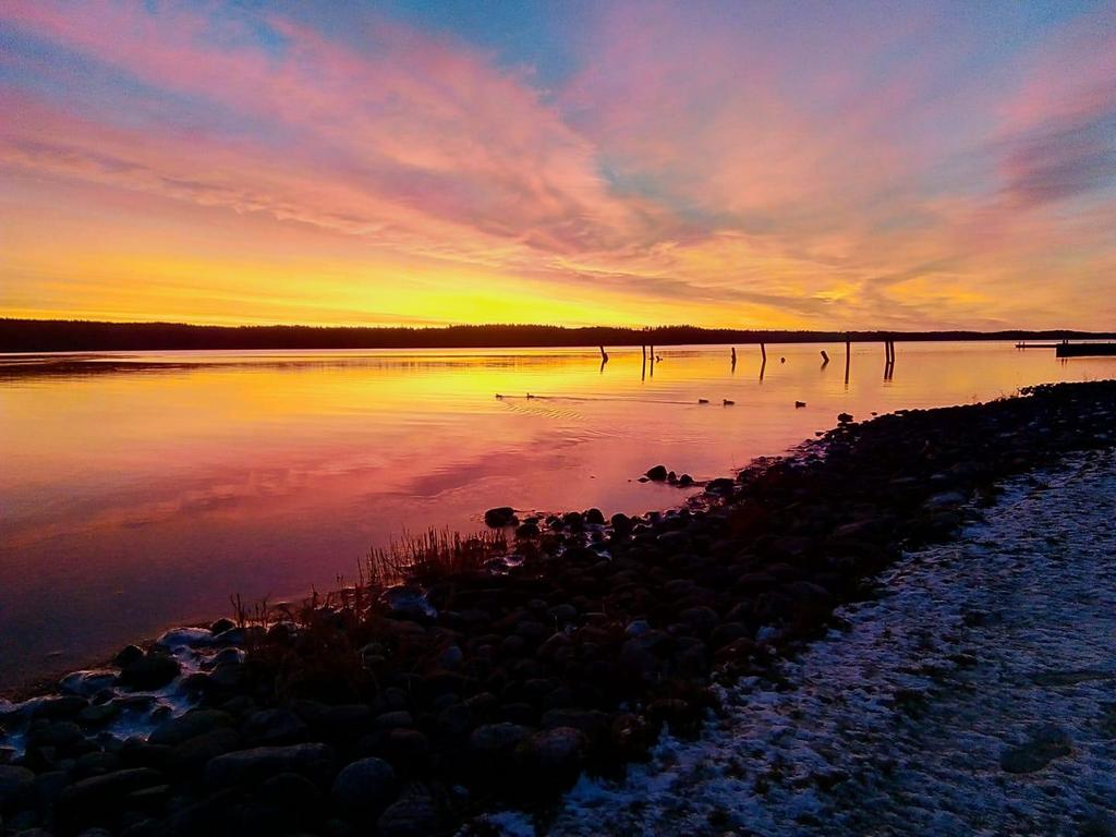 ÅRSPROGRAM augusti 2019 juni 2020 Vill du bli medlem i Naturskyddsföreningen? Gå in på https://taby.naturskyddsforeningen.se/ Boka i din kalender redan nu det du tycker verkar intressant!